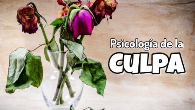 Psicología De La Culpa ¿Por Qué Me Siento Culpable?