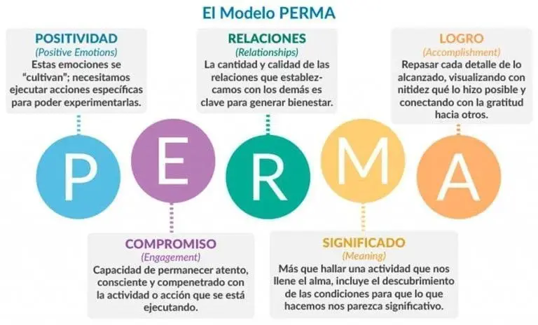 La Teoría Del Bienestar O Cómo Desarrollar Una Vida Plena